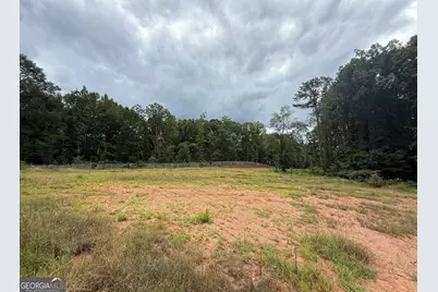 Hwy 29, Grantville, GA 30220 - Photo 5