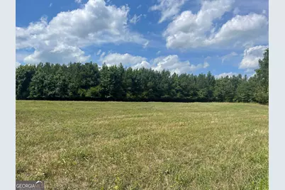 0 Cannon Road, Sharpsburg, GA 30277 - Photo 1