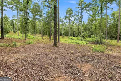 425 Ethridge Mill Rd, Griffin, GA 30224 - Photo 49