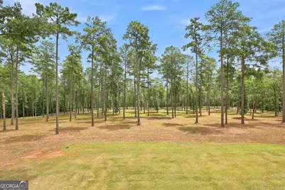 425 Ethridge Mill Rd, Griffin, GA 30224 - Photo 43