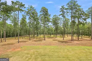 425 Ethridge Mill Rd, Griffin, GA 30224 - Photo 43