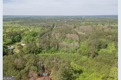 0 Beavers Road, Grantville, GA 30220 - Photo 11