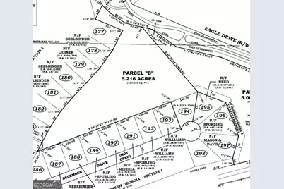0 Beavers Road, Grantville, GA 30220 - Photo 3