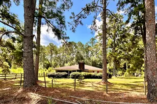 6009 James St, Manor, GA 31550 - Photo 39