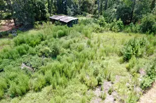 6009 James St, Manor, GA 31550 - Photo 55