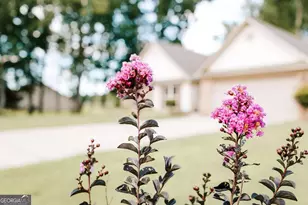 296 Highlands Dr, Winterville, GA 30683 - Photo 3