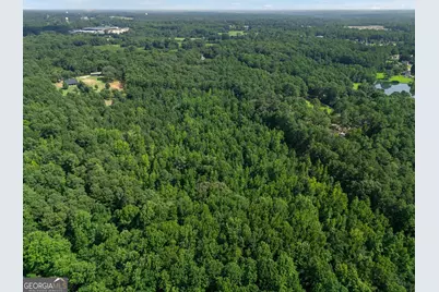280 Etheridge Road, Auburn, GA 30011 - Photo 75