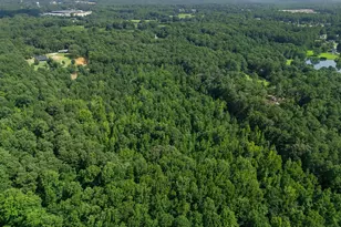 280 Etheridge Rd, Auburn, GA 30011 - Photo 75