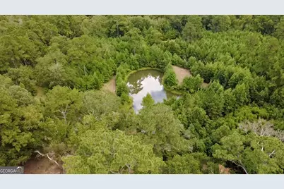 807 Aden Lanier Road, Statesboro, GA 30458 - Photo 17