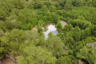 807 Aden Lanier Rd, Statesboro, GA 30458 - Photo 17