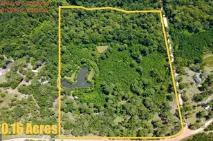 807 Aden Lanier Rd, Statesboro, GA 30458 - Photo 1
