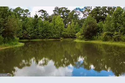 807 Aden Lanier Road, Statesboro, GA 30458 - Photo 11