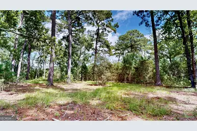 807 Aden Lanier Road, Statesboro, GA 30458 - Photo 13
