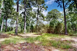 807 Aden Lanier Rd, Statesboro, GA 30458 - Photo 13