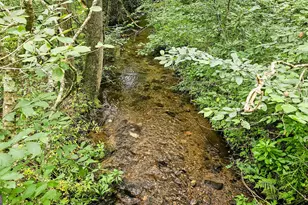0 River Run N, Clayton, GA 30525 - Photo 1