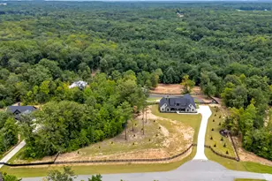392 Georgian Pnes Dr, Senoia, GA 30276 - Photo 75