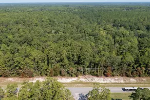 0 Hwy 121, Folkston, GA 31537 - Photo 1