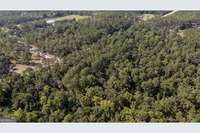 0 Highway 121 #6.7 +OR- ACRES, Folkston, GA 31537 - Photo 7