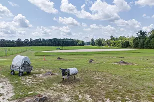 1072 Porter Carswell Rd, Waynesboro, GA 30830 - Photo 35