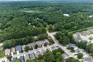 7 Ginger Gold Dr, Newnan, GA 30265 - Photo 49