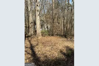 Lot 41 Rue Lafayette, Lavonia, GA 30553 - Photo 15