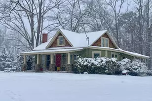 1401 Alec Mountain Rd, Clarkesville, GA 30523 - Photo 1