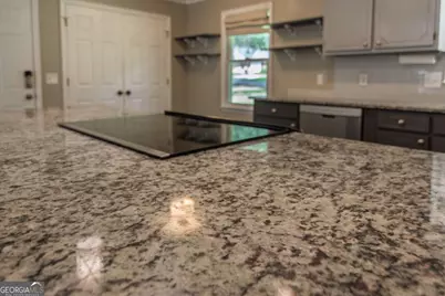 240 Plumfield Drive, Pine Mountain, GA 31822 - Photo 17