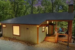 1360 Black Ankle Creek Rd, Blue Ridge, GA 30513 - Photo 7