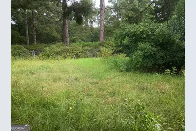 1229 NE Maryann Prescott Road, Glennville, GA 30427 - Photo 5