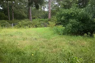 1229 NE Maryann Prescott Rd, Glennville, GA 30427 - Photo 5
