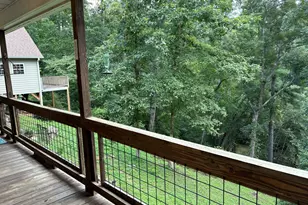 350 Foggy Creek Ln, Clarkesville, GA 30523 - Photo 69