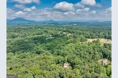 600 Smith Fork Drive, Demorest, GA 30535 - Photo 55