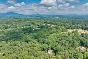 600 Smith Frk Dr, Demorest, GA 30535 - Photo 55