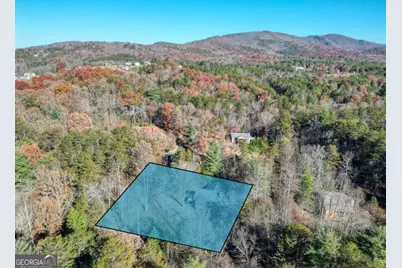 541 Rizzitello Lane, Blairsville, GA 30512 - Photo 41