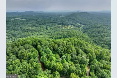 541 Little Bushy Head Road, Blue Ridge, GA 30513 - Photo 7