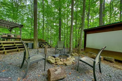 541 Little Bushy Head Road, Blue Ridge, GA 30513 - Photo 13