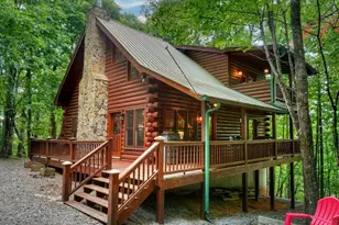 541 Little Bushy Head Rd, Blue Ridge, GA 30513 - Photo 1