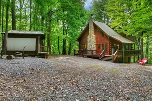 541 Little Bushy Head Rd, Blue Ridge, GA 30513 - Photo 43