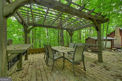 541 Little Bushy Head Road, Blue Ridge, GA 30513 - Photo 11