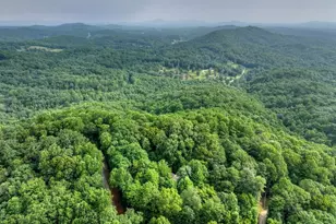 541 Little Bushy Head Rd, Blue Ridge, GA 30513 - Photo 9