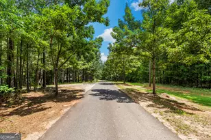 877 McKee Rd, Waverly Hall, GA 31831 - Photo 51