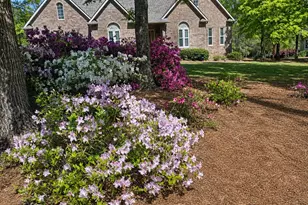 381 Hickory Ridge Rd, Jackson, GA 30233 - Photo 33