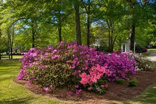 381 Hickory Ridge Rd, Jackson, GA 30233 - Photo 31