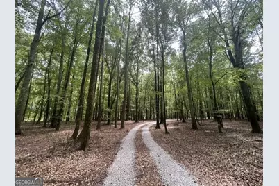 338 Adams Road, Union Point, GA 30669 - Photo 3