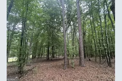 338 Adams Road, Union Point, GA 30669 - Photo 5
