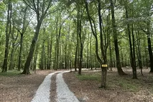 338 Adams Rd, Union Point, GA 30669 - Photo 1