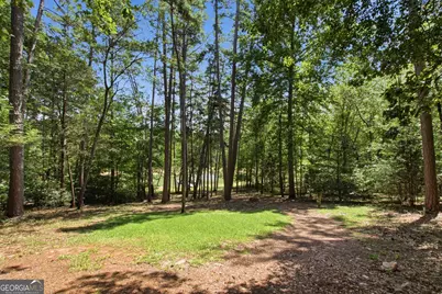 834 Hardy Road, Martin, GA 30557 - Photo 49