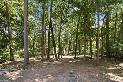 834 Hardy Road, Martin, GA 30557 - Photo 47