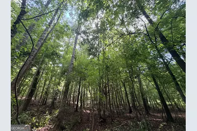 2200 Sharon Road, Crawfordville, GA 30631 - Photo 27