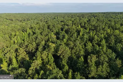 2200 Sharon Road, Crawfordville, GA 30631 - Photo 15